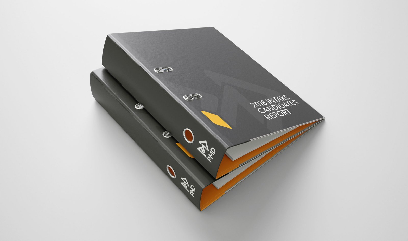 Lightbox Image