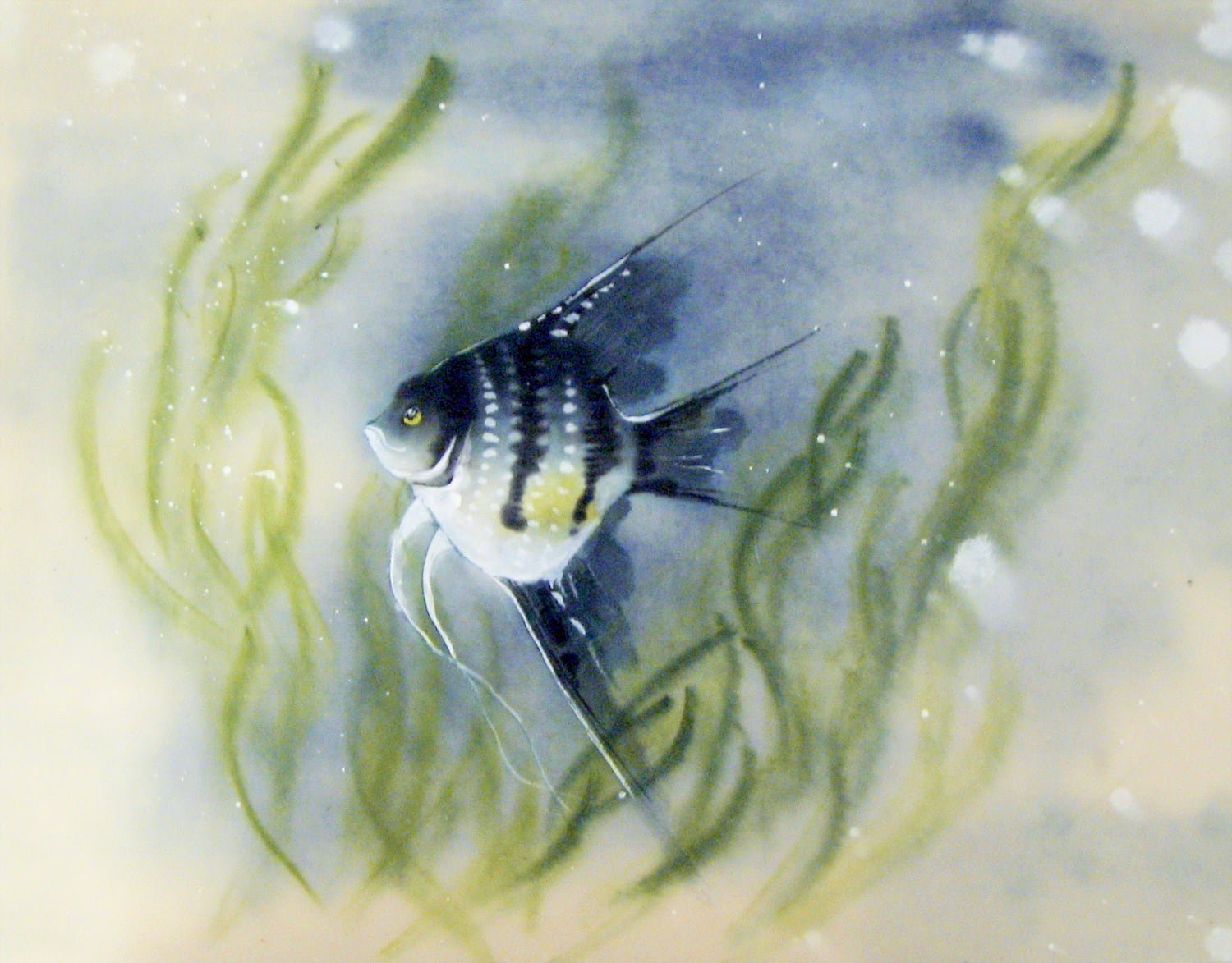 Chinese painting of Angelfish